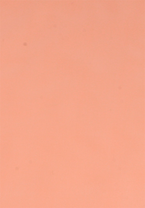 Flexi Body Pink Shrimp